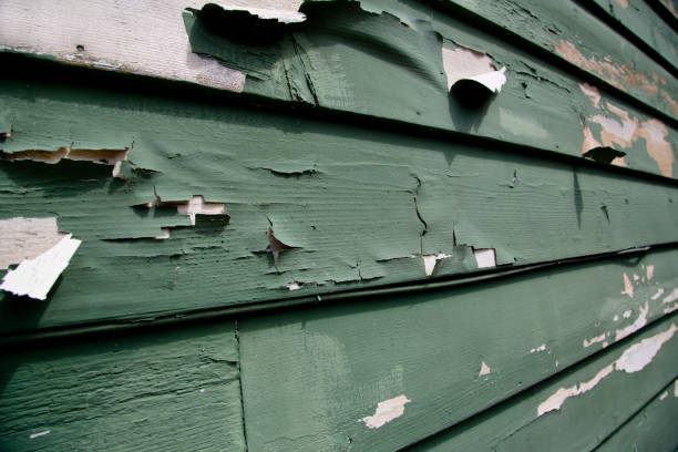 Best Junk Removal for Events  in Schenectady, NY